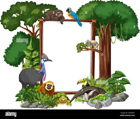 Rainforest Border Clip Art