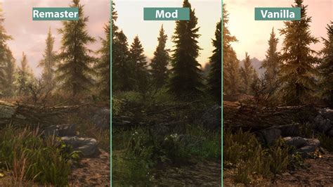 Skyrim Special Edition versus PC mods – graphics comparison