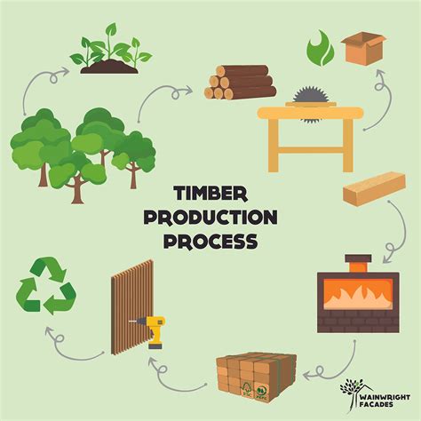 Timber Production Process