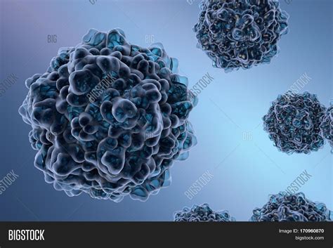 Parvovirus B19 On Image & Photo (Free Trial) | Bigstock