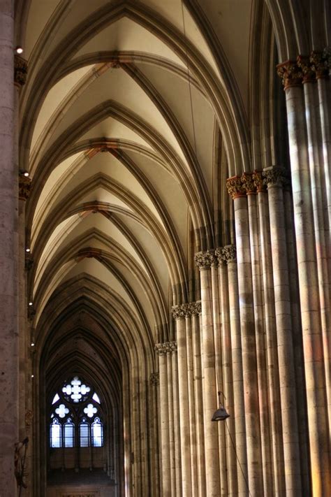 Ribbed Vaults | Ribbed vault, Cathedral architecture, Gothic architecture