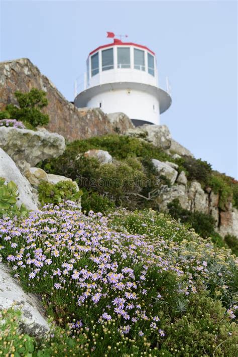 Cape Of Good Hope Lighthouse Stock Photo - Image of hope, lighthouse: 5415654