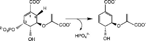 Reaction catalyzed by chorismate synthase | Download Scientific Diagram