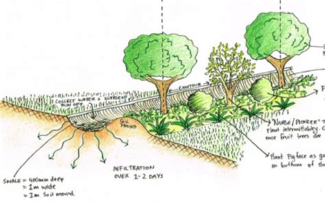 Swale Pathways | Good Life Permaculture