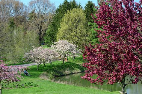 FX7M-80 Toledo Botanical Garden Photograph by Ohio Stock Photography ...