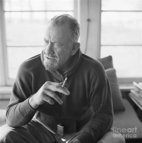 Portrait Of John Steinbeck by Bettmann