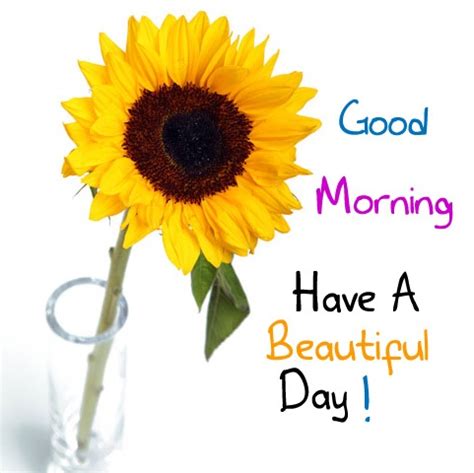 good morning have a great day clipart - Clip Art Library