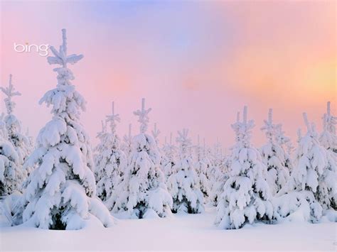 Bing Wallpaper Winter Scenes