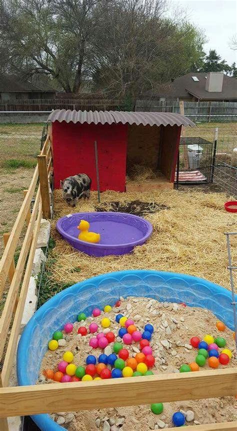 An idea for a pig pen. … | Pig farming, Pet pigs, Pig pen