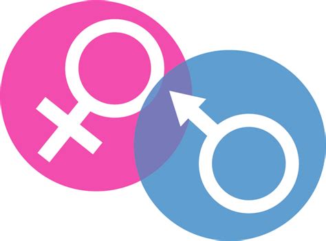 Transparent Gender Clip Art - Gender And Development Png - Full Size ...