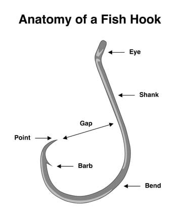 Complete Fishing Hook Guide: Hook Sizing Charts