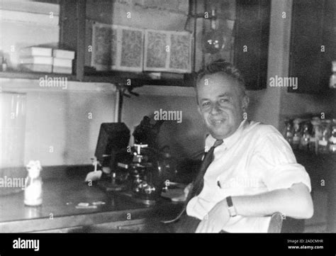 Theodosius Dobzhansky (1900-1975), Russian-US geneticist, in his ...