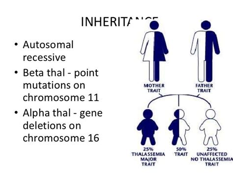 Beta Thalassemia Inheritance Pattern