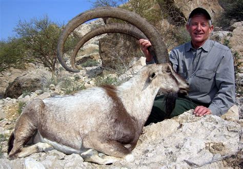 6-DAY SINDH IBEX HUNT IN PAKISTAN FOR 1 HUNTER