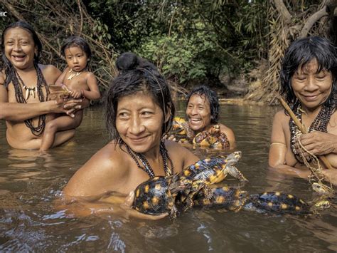 Inside the ‘uncontacted’ Amazon tribe threatened by logging, mining ...