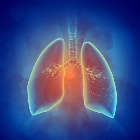 Pulmonary Nocardiosis : Overview, Causes, Symptoms, Treatment | illness.com