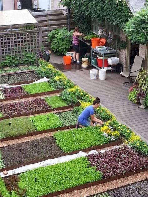 Small Vegetable Garden Design Pictures - Image to u