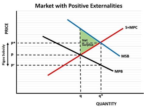 Pigouvian Subsidy (Definition & Examples)