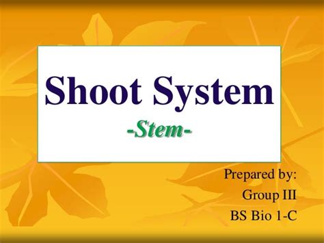 Shoot system