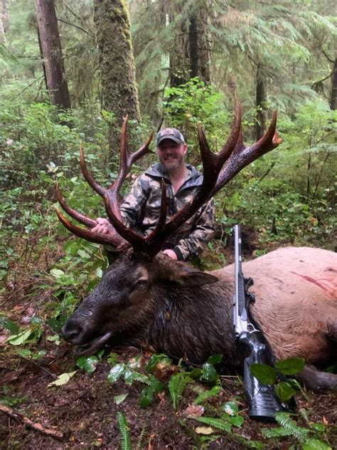 Washington Roosevelt Elk Hunting - OUTDOORS INTERNATIONAL