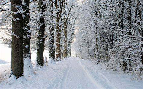 Snowy Road Wallpapers - 4k, HD Snowy Road Backgrounds on WallpaperBat