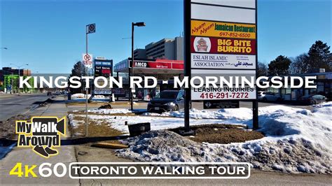 Kingston Road and Morningside Ave area in Toronto (Walking tour in 4k) - YouTube