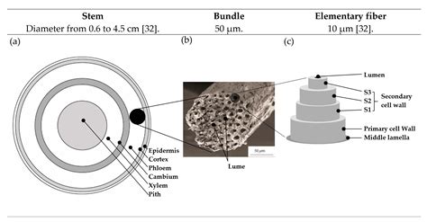 Fibers | Free Full-Text | Industrial Hemp Fibers: An Overview