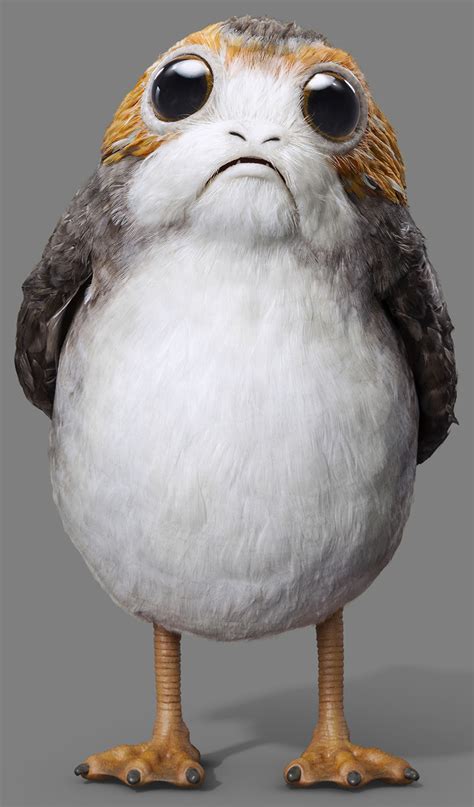 Porg | Star Wars Wiki | FANDOM powered by Wikia