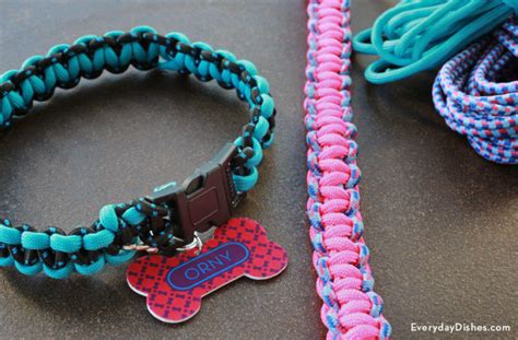 DIY Braided Dog Collar Video Tutorial