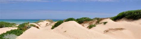 Coorong National Park - Camping, Weather, Walks Map & Things To Do