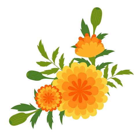 Marigold flowers blossoms. Mexican Dia de los Muertos. Indian Diwali festival. Day of Dead ...