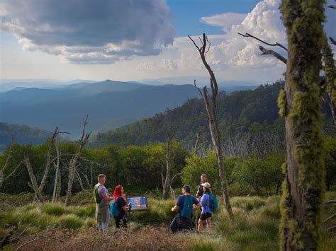 High Country Hiking Tours, Tour, High Country, Victoria, Australia