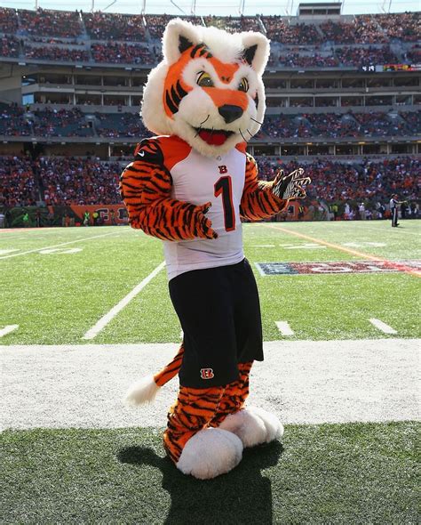 What Animal Is The Cincinnati Bengals Mascot?