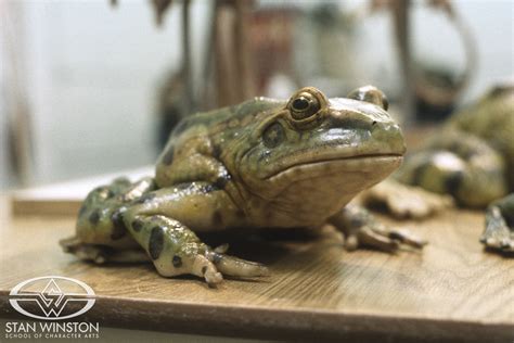 Creating the Budweiser Frogs: Behind the Scenes at Stan Winston Studio ...