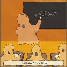 Cellular division Science Comics, Science Puns, Life Science, Math Memes, Math Humor, Technology ...