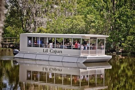 Tripadvisor | Tour nella palude e nel bayou con giro in battello da New ...