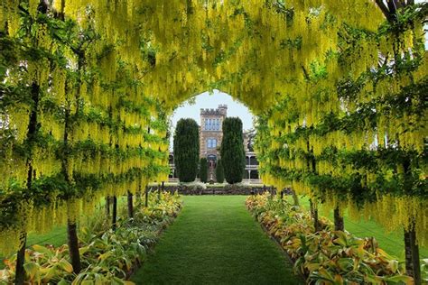 The Gardens at Larnach Castle - Larnach Castle & Gardens - New Zealand's only castle, visit us ...