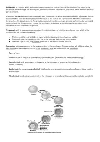 Biology - Embriology | PDF