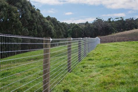 Horse Fence Perth | Electric & Mesh Fence Installation | Bears Fencing