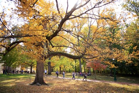 Landscape architect gives his recommendations on IU’s best fall foliage ...