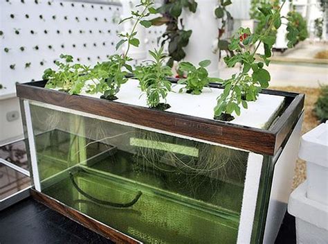 50 Fascinating DIY Indoor Aquaponics Fish Tank Ideas | Akvarier