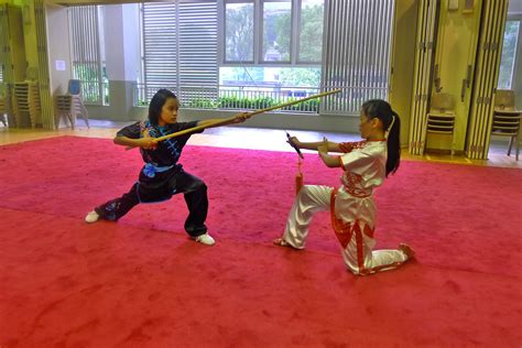 Wushu Enrichment Classes Singapore | Structured School CCA