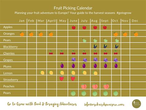 Fruit Picking Calendar - Orchards Near Me