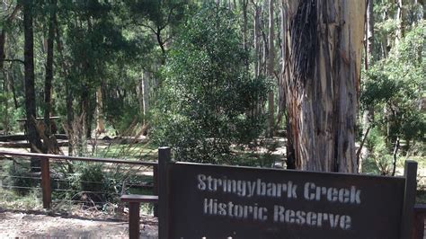 Site of Kelly gang shootout with police at Stringybark Creek being prepared for 140th ...