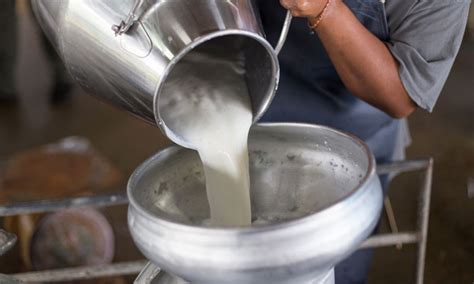 Some farm equipment is a source of toxic chemicals in dairy, study finds