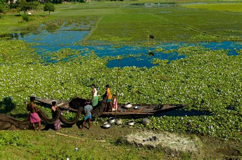 Rising waters in the Ganges delta - Archyde