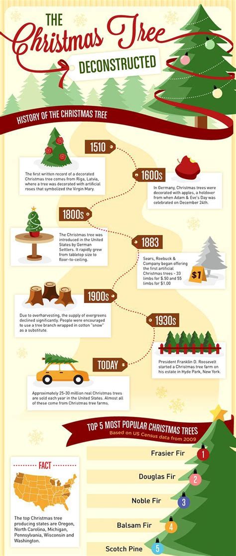 Christmas Tree Facts | Christmas history, Christmas lesson, Outdoor christmas decorations