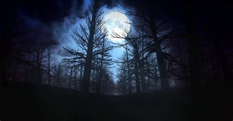 Full moon night in Forest 4K, Stock Video - Envato Elements