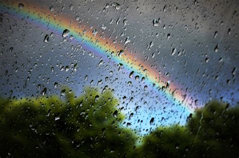 Free Images : water, nature, outdoor, drop, sky, rain, leaf, wet, green, reflection, umbrella ...