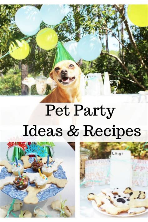 Pet Party Ideas | Pet birthday party, Kids party inspiration, Animal party